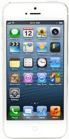 Смартфон Apple iPhone 5 64Gb White & Silver - Выкса